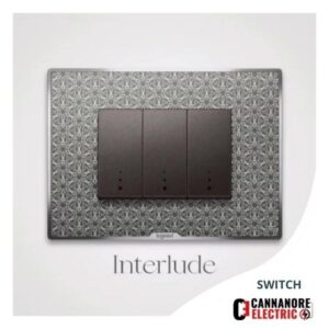 INTRUDER